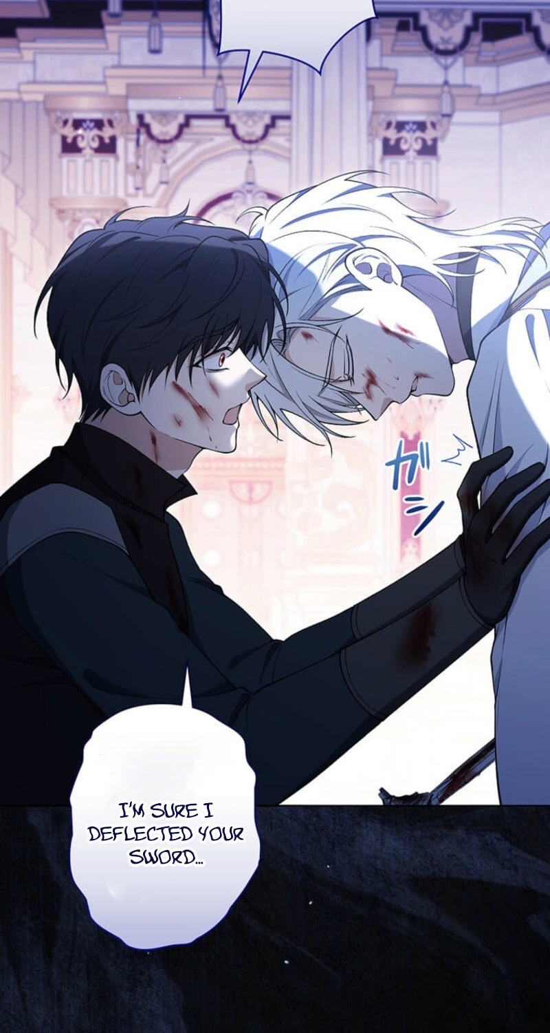 The Enemy King's Substitute Bride Chapter 40 page 11 - 