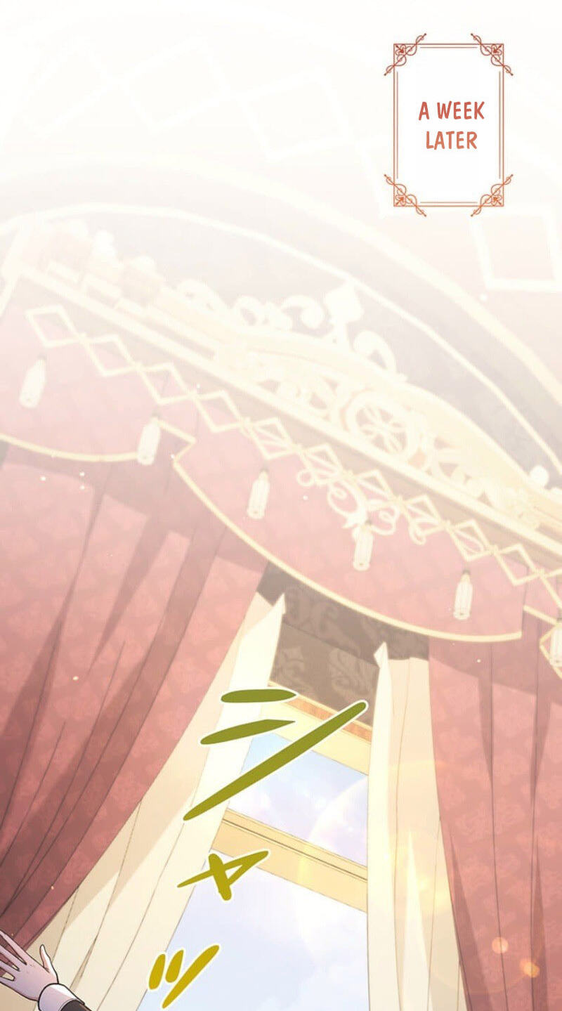 The Enemy King's Substitute Bride Chapter 40 page 101 - 