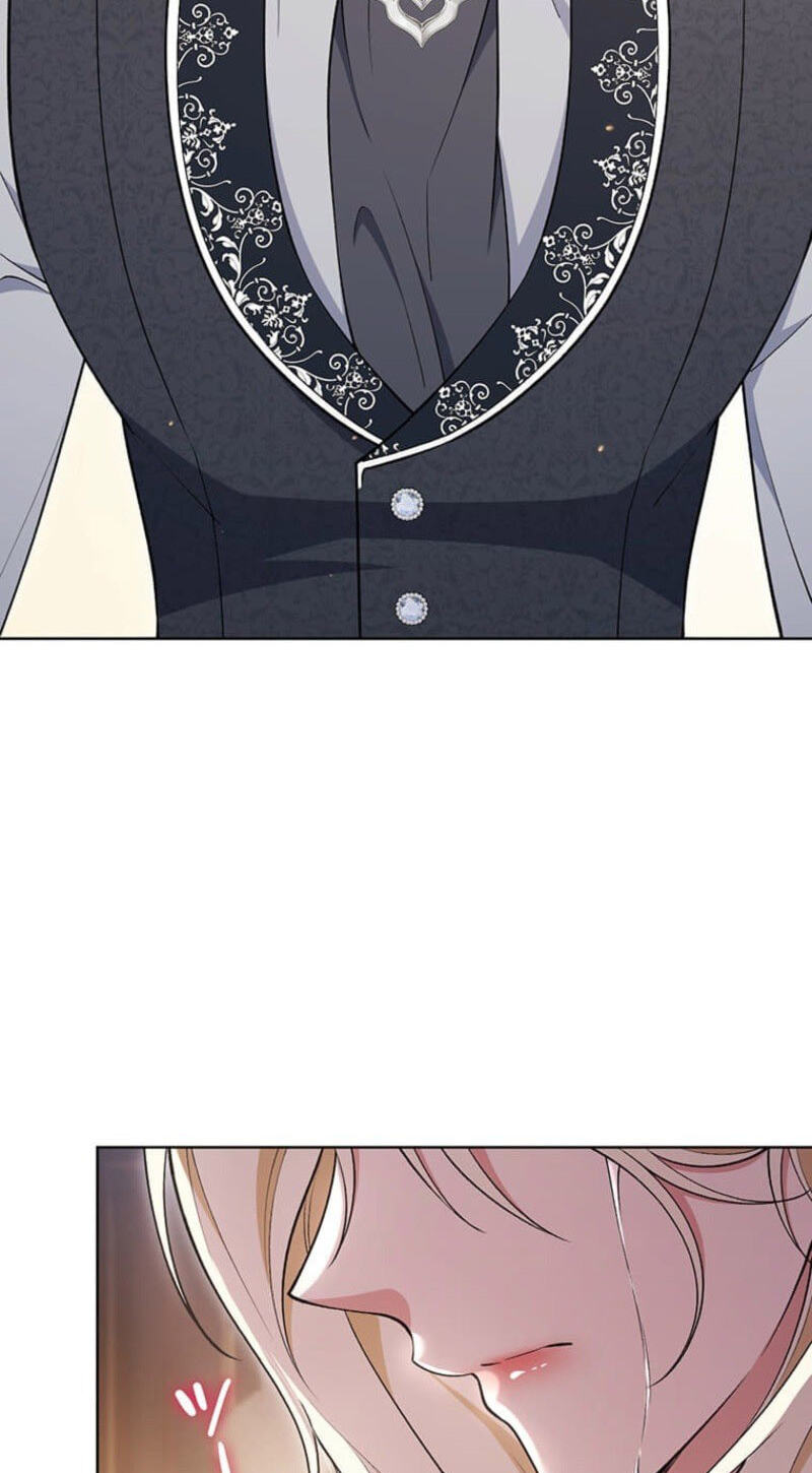 The Enemy King's Substitute Bride Chapter 40 page 47 - 