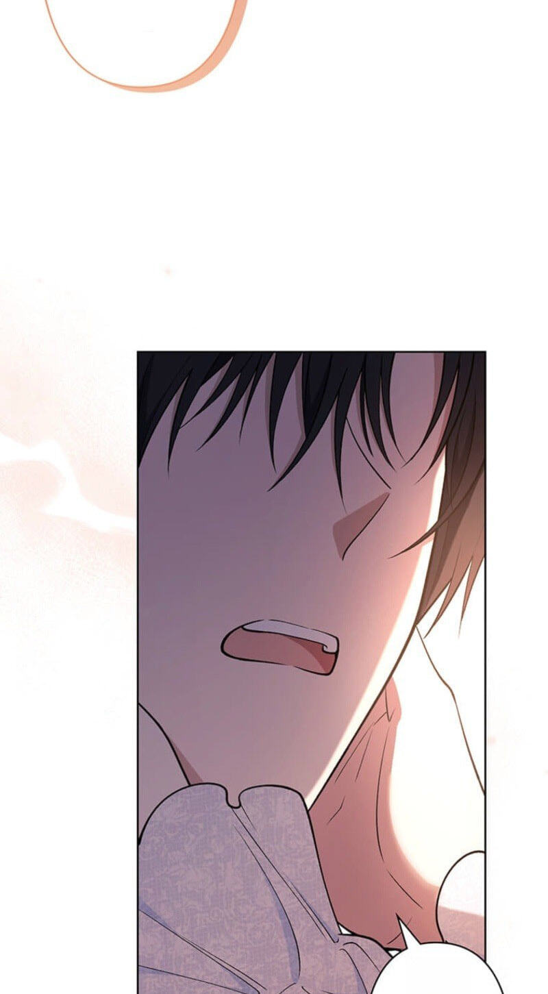 The Enemy King's Substitute Bride Chapter 40 page 64 - 