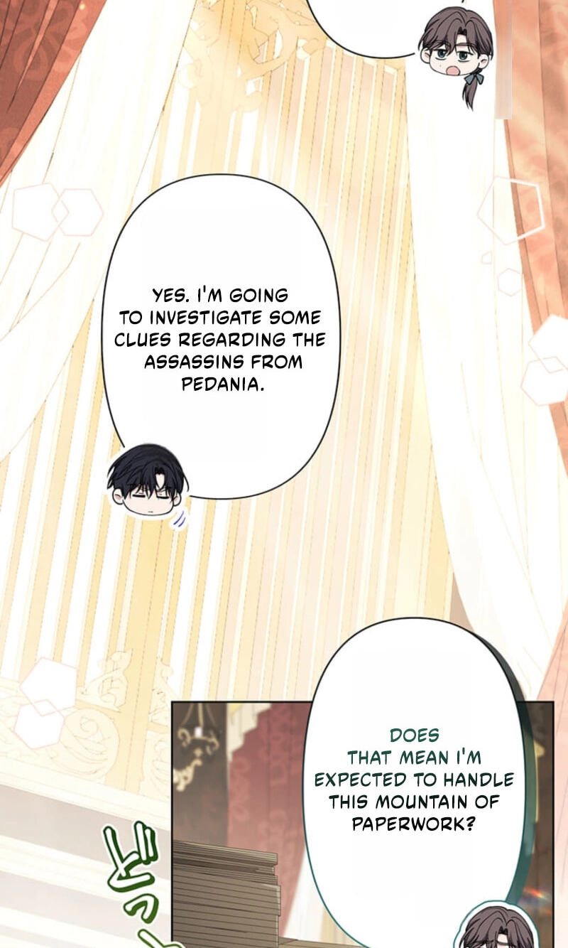 The Enemy King's Substitute Bride Chapter 41 page 3 - 