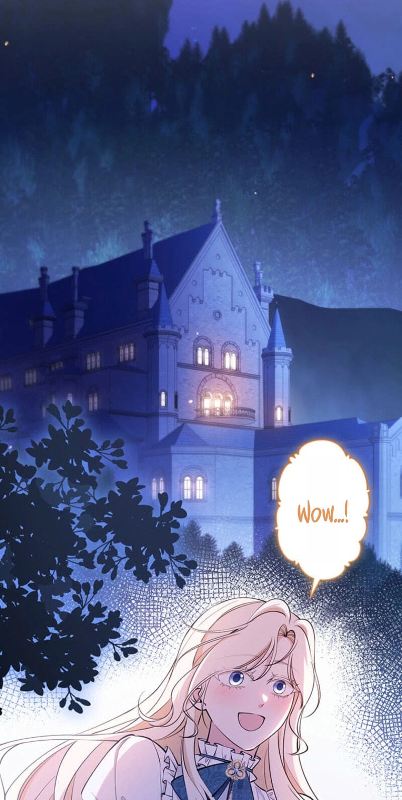 The Enemy King's Substitute Bride Chapter 42 page 33 - 