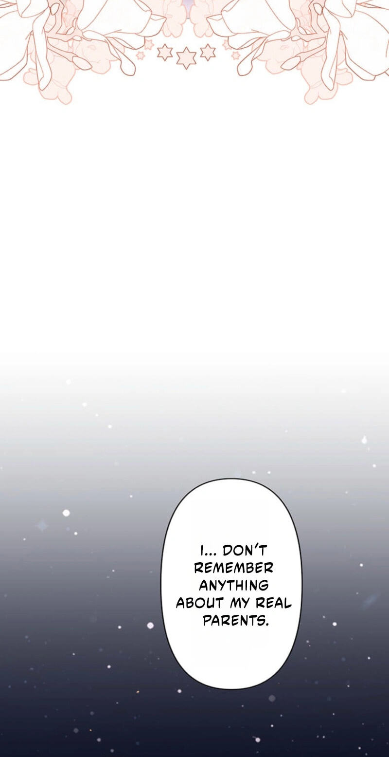 The Enemy King's Substitute Bride Chapter 42 page 65 - 