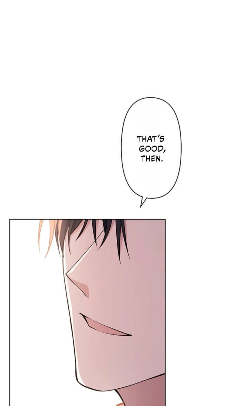 The Enemy King's Substitute Bride Chapter 43 page 17 - 