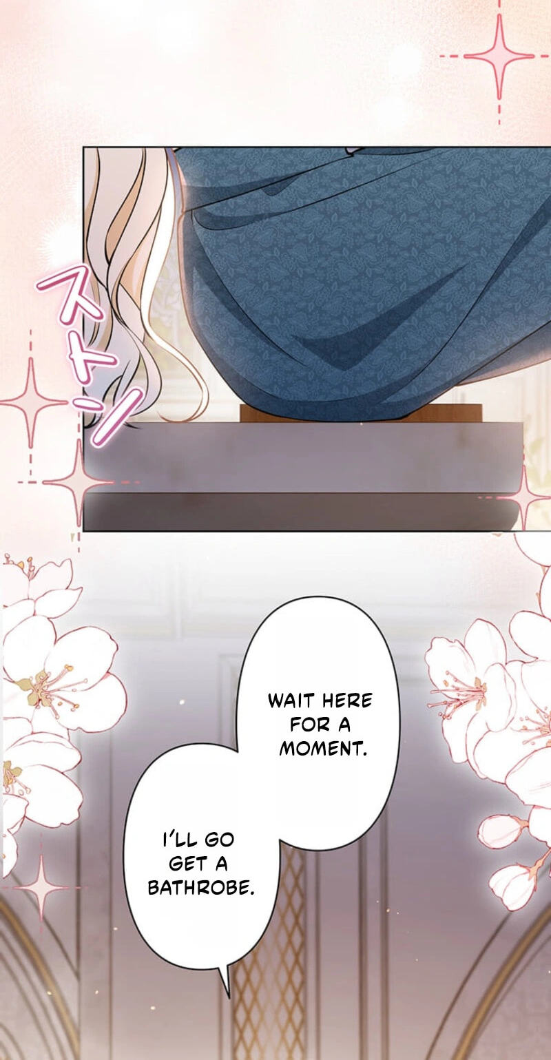 The Enemy King's Substitute Bride Chapter 43 page 5 - 
