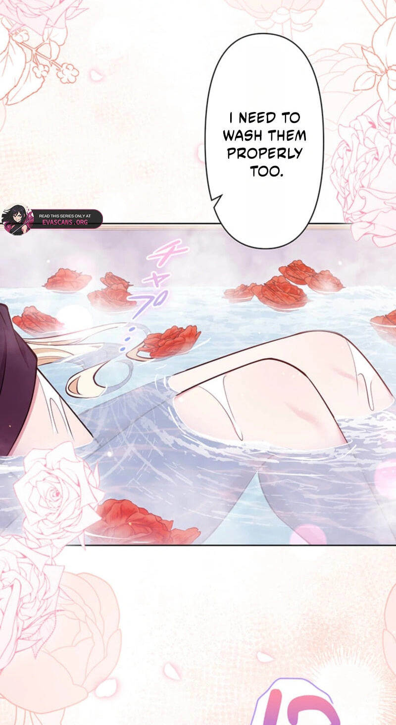 The Enemy King's Substitute Bride Chapter 43 page 65 - 