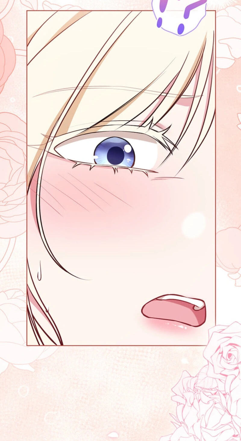 The Enemy King's Substitute Bride Chapter 43 page 66 - 