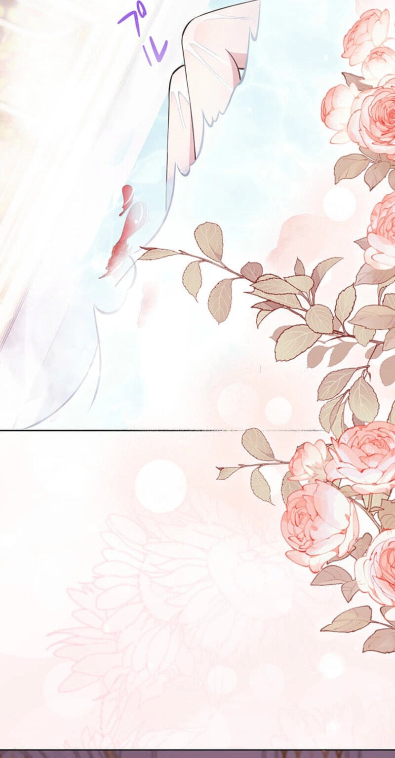 The Enemy King's Substitute Bride Chapter 43 page 72 - 