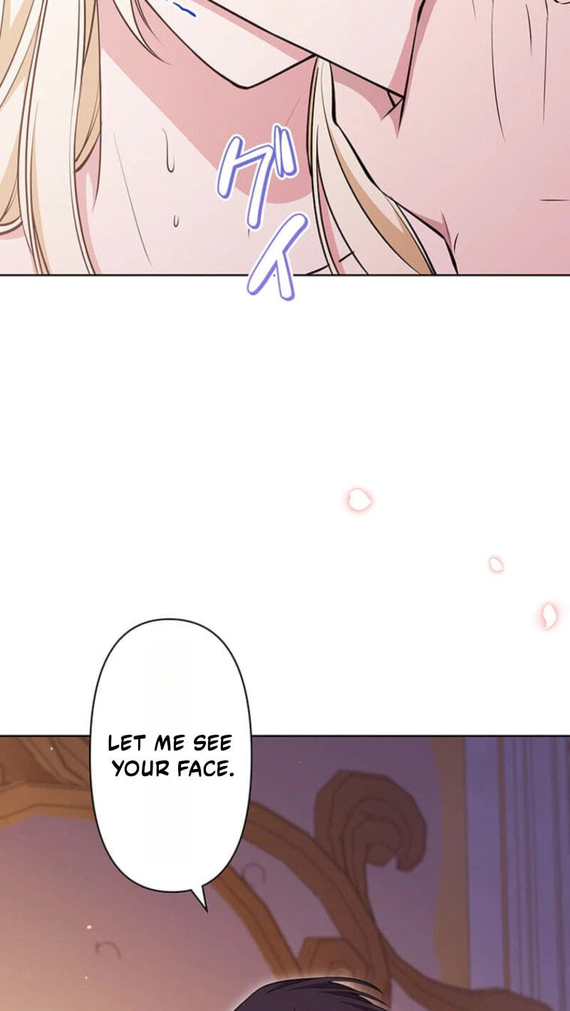 The Enemy King's Substitute Bride Chapter 44 page 18 - 