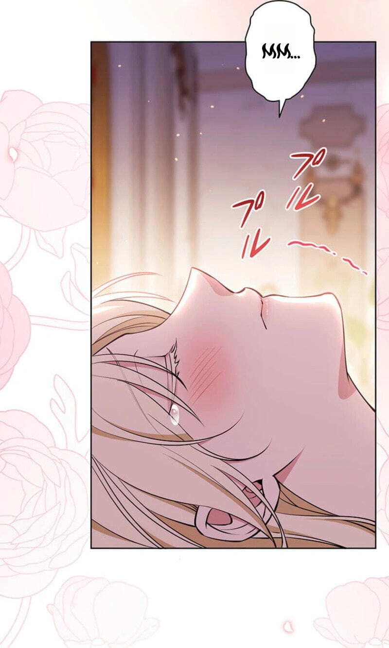 The Enemy King's Substitute Bride Chapter 44 page 21 - 