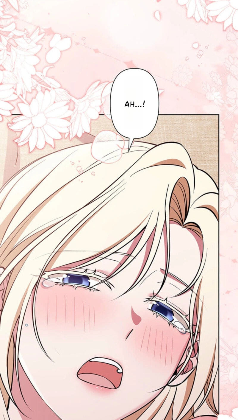 The Enemy King's Substitute Bride Chapter 44 page 64 - 