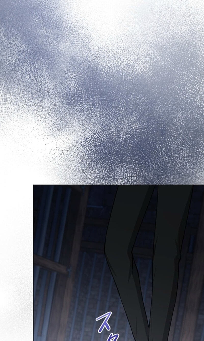 The Enemy King's Substitute Bride Chapter 45 page 107 - 