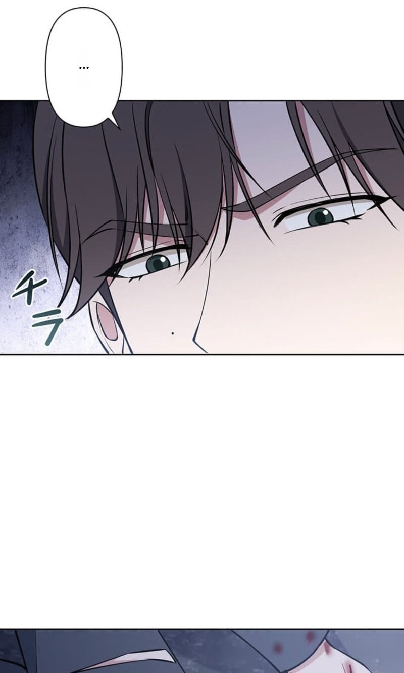 The Enemy King's Substitute Bride Chapter 45 page 110 - 