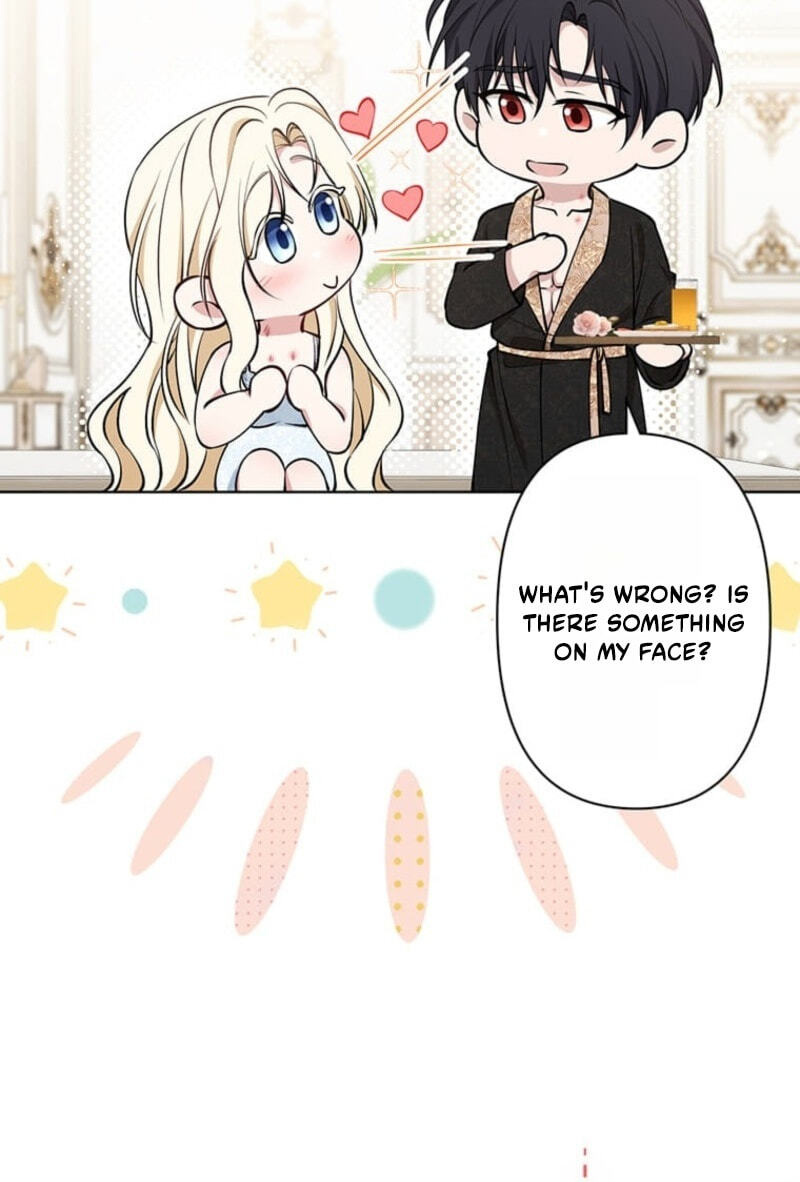 The Enemy King's Substitute Bride Chapter 45 page 19 - 