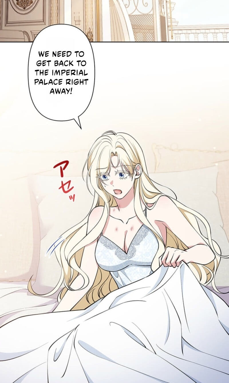 The Enemy King's Substitute Bride Chapter 45 page 3 - 
