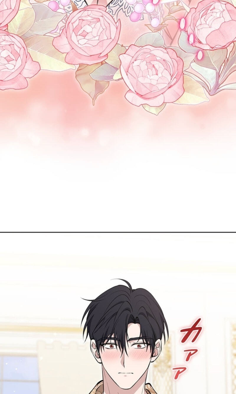 The Enemy King's Substitute Bride Chapter 45 page 24 - 