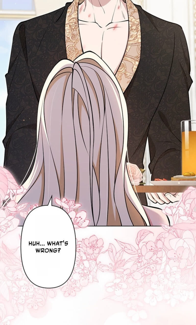 The Enemy King's Substitute Bride Chapter 45 page 25 - 
