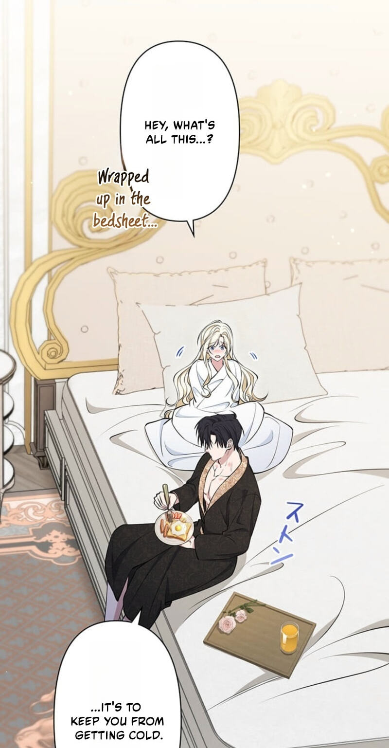 The Enemy King's Substitute Bride Chapter 45 page 28 - 