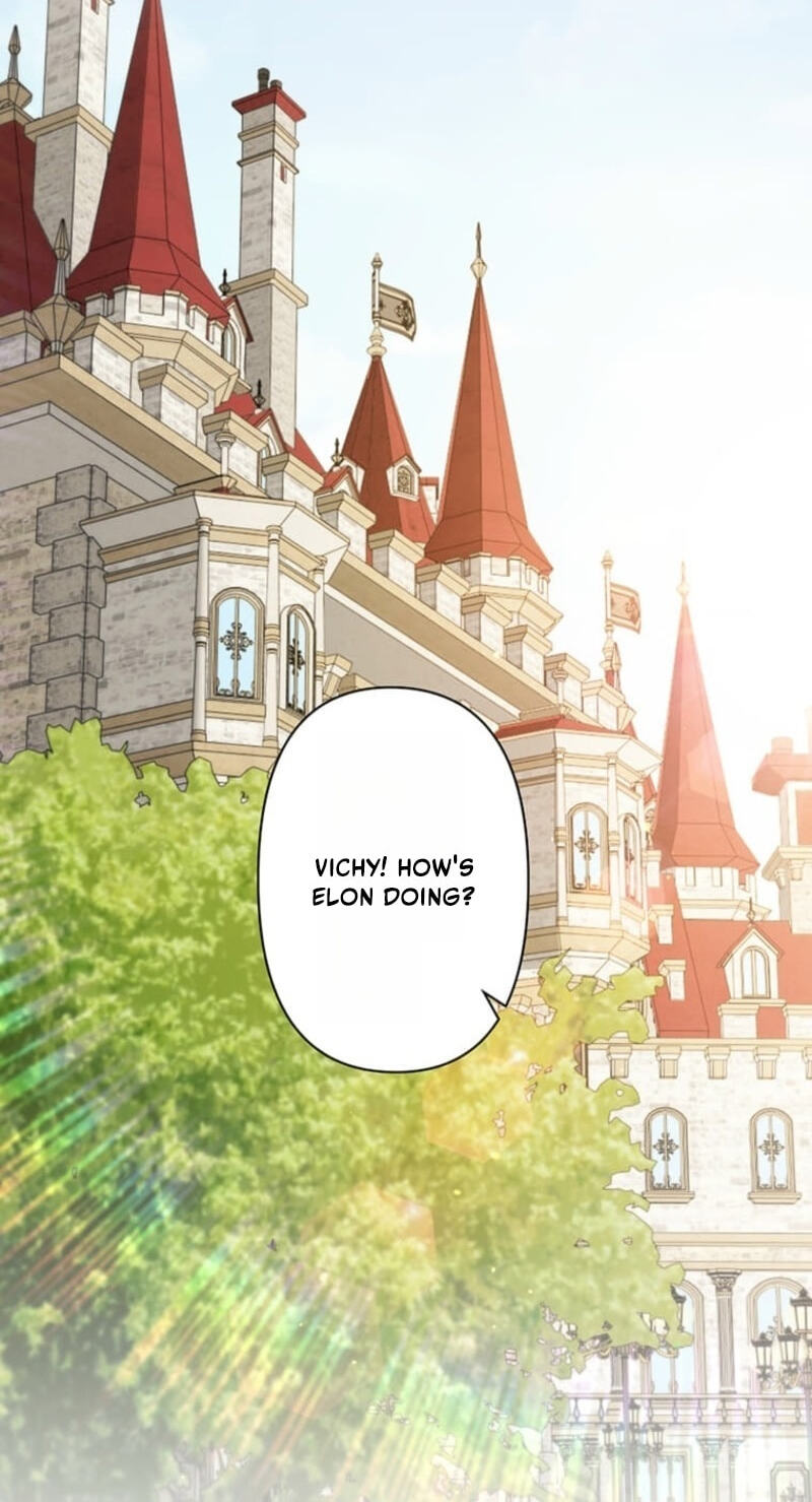 The Enemy King's Substitute Bride Chapter 45 page 35 - 