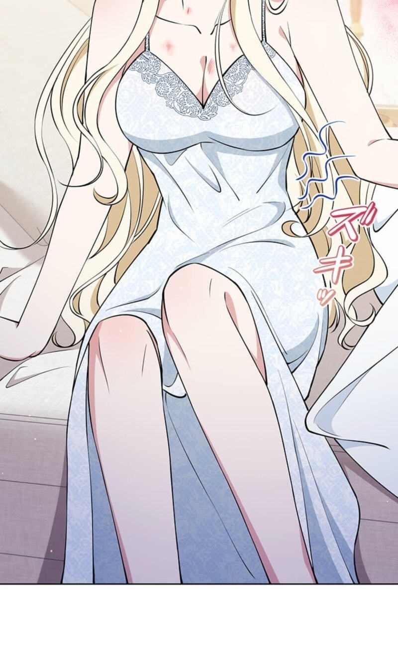 The Enemy King's Substitute Bride Chapter 45 page 5 - 