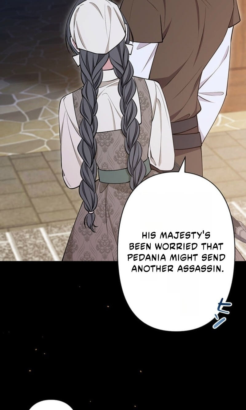 The Enemy King's Substitute Bride Chapter 45 page 62 - 