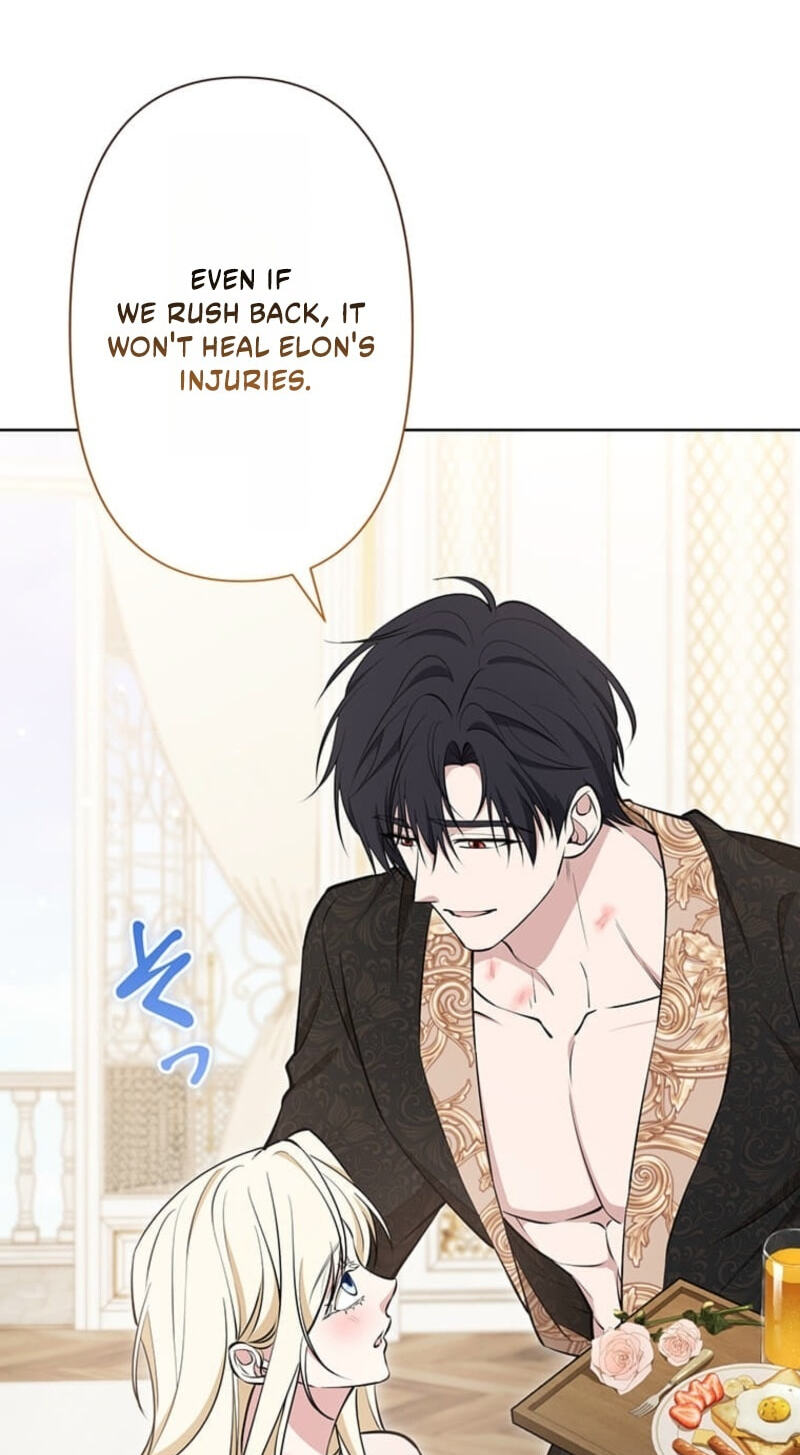 The Enemy King's Substitute Bride Chapter 45 page 9 - 