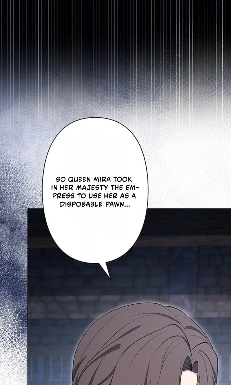 The Enemy King's Substitute Bride Chapter 46 page 13 - 