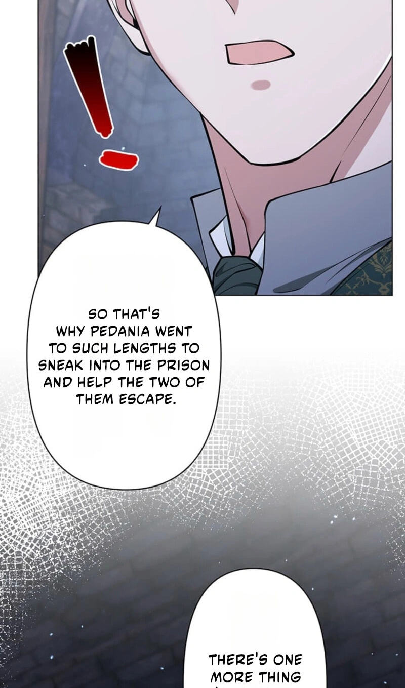The Enemy King's Substitute Bride Chapter 46 page 3 - 