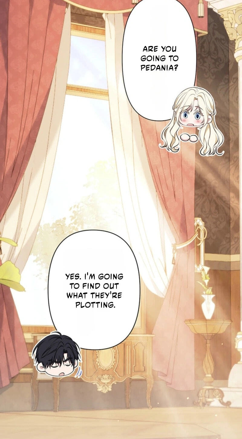 The Enemy King's Substitute Bride Chapter 46 page 21 - 