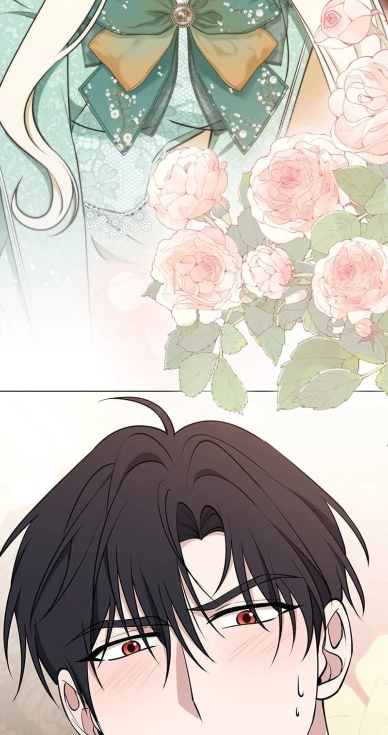 The Enemy King's Substitute Bride Chapter 46 page 28 - 