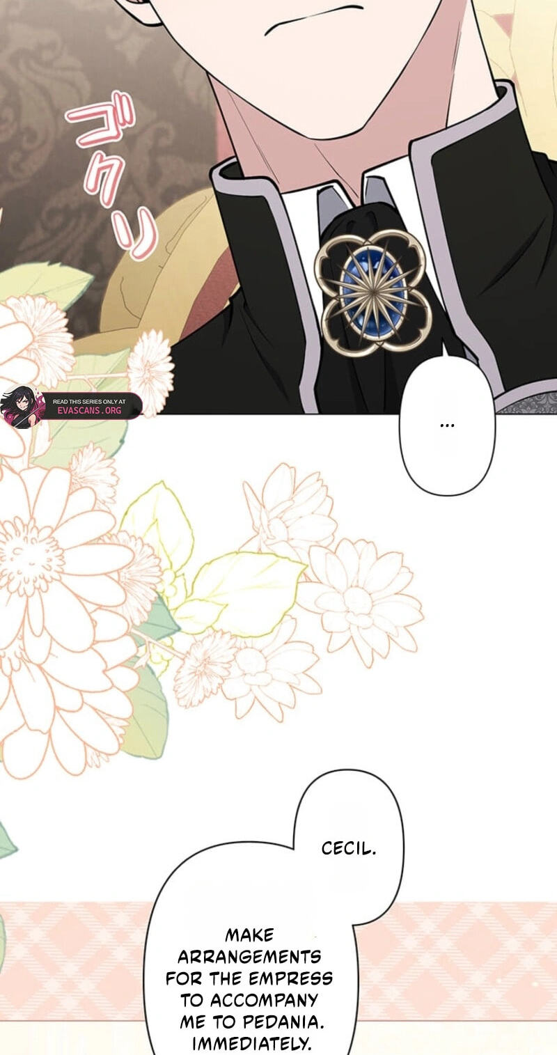 The Enemy King's Substitute Bride Chapter 46 page 29 - 