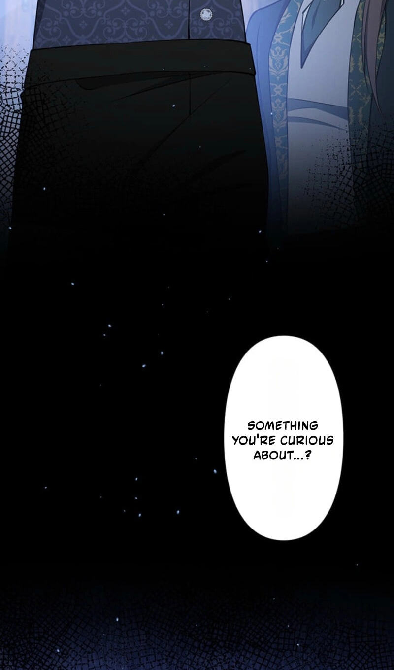 The Enemy King's Substitute Bride Chapter 46 page 5 - 