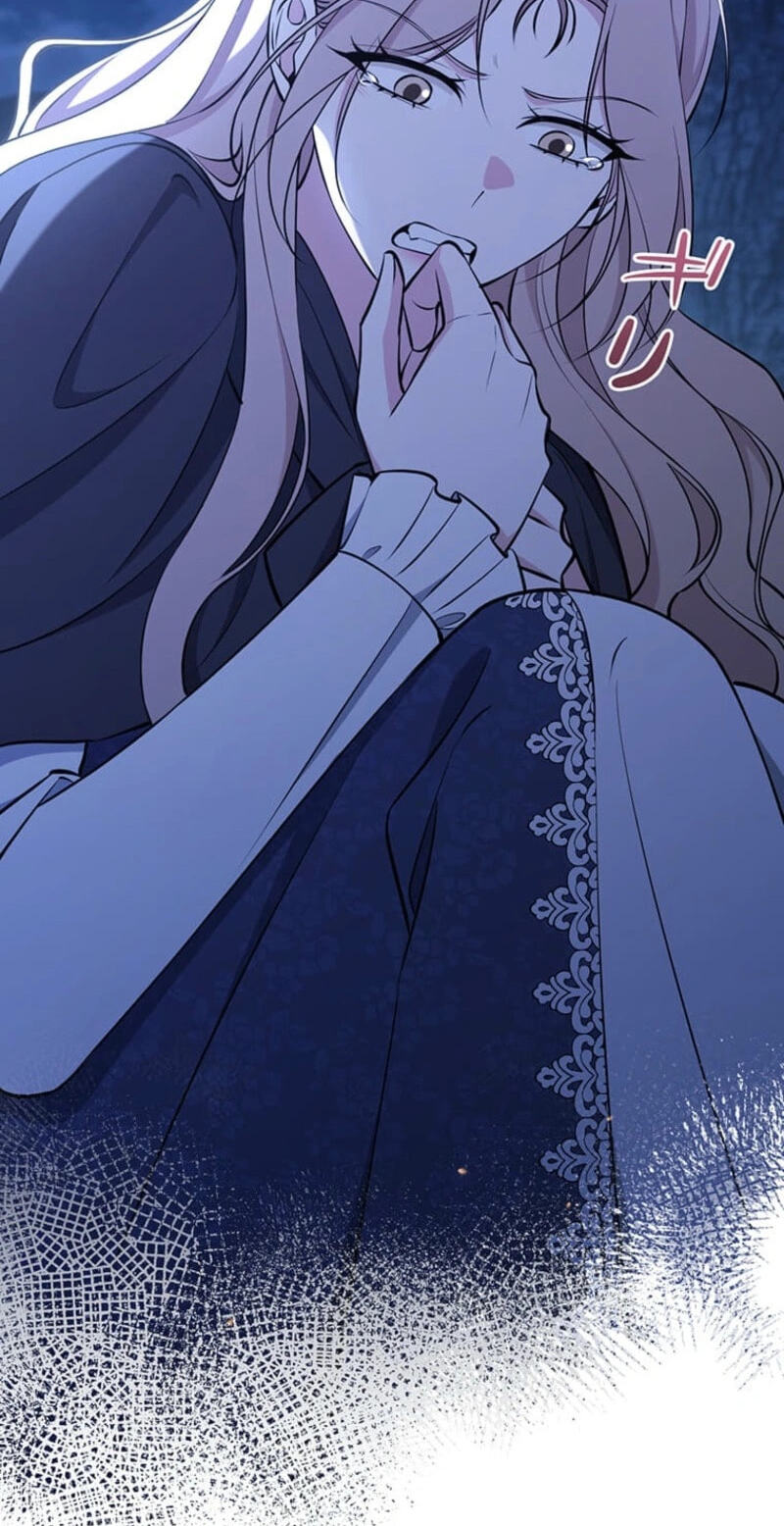 The Enemy King's Substitute Bride Chapter 46 page 61 - 