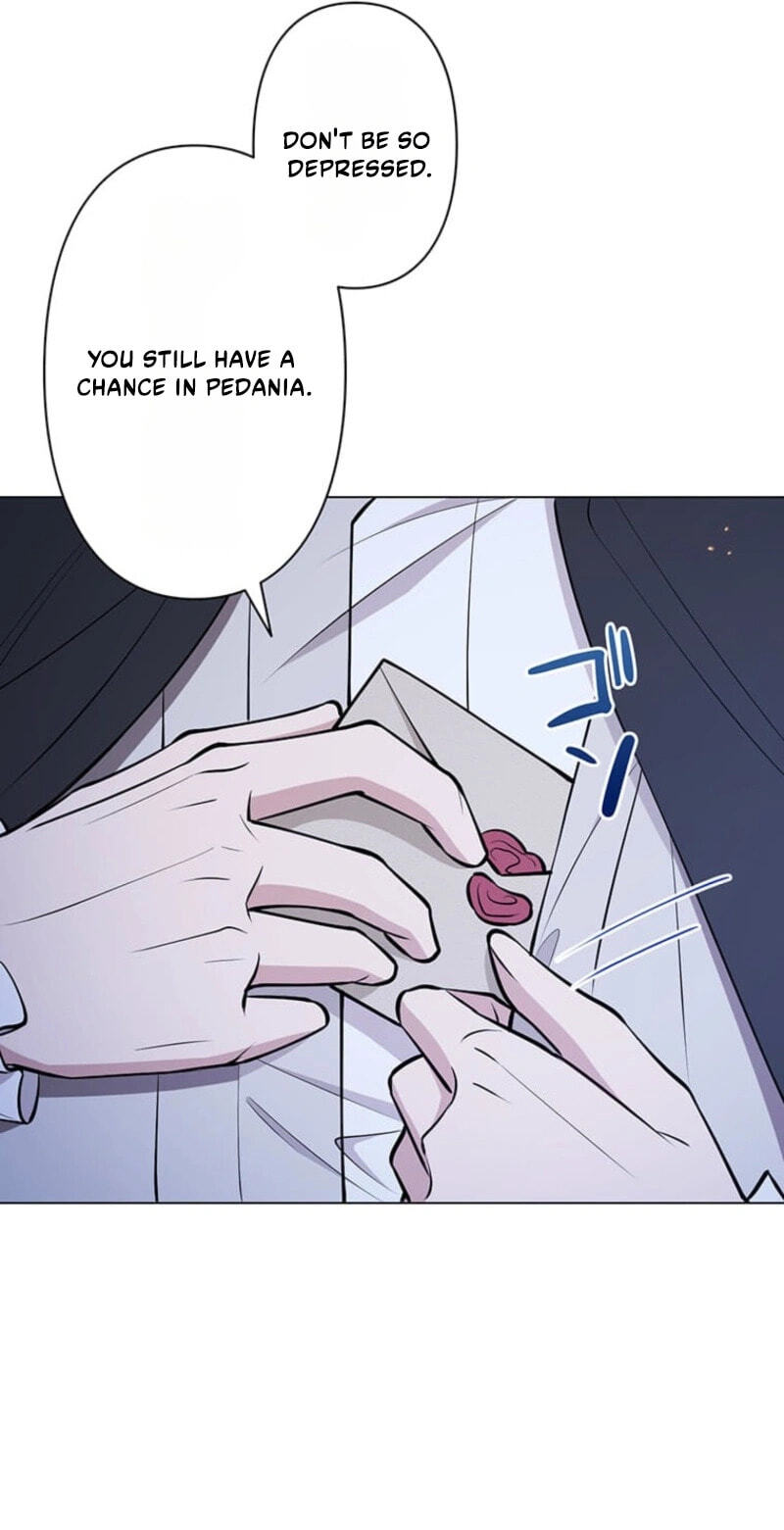 The Enemy King's Substitute Bride Chapter 46 page 63 - 