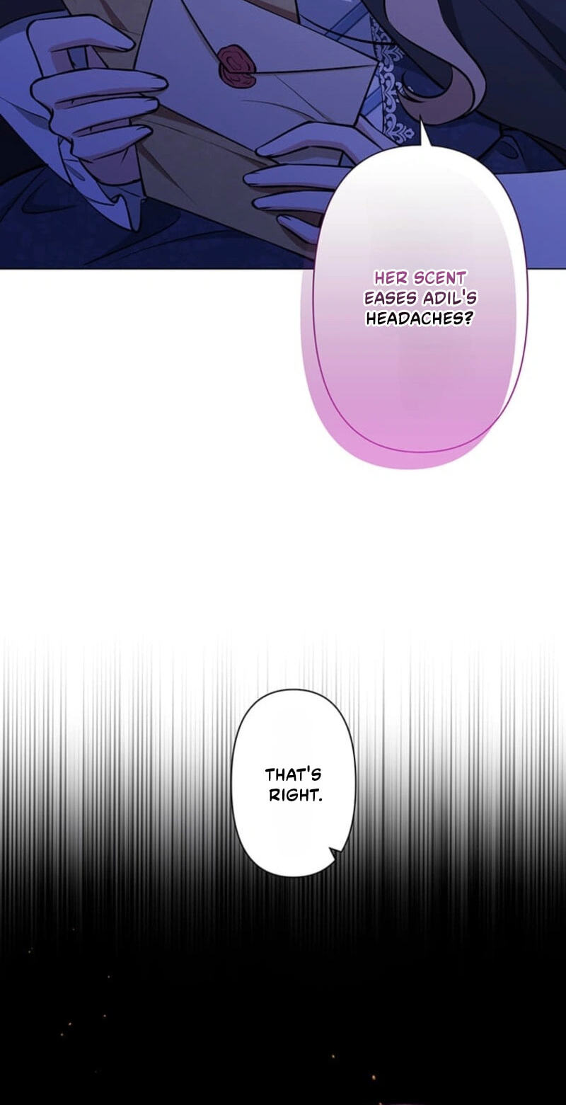 The Enemy King's Substitute Bride Chapter 46 page 67 - 
