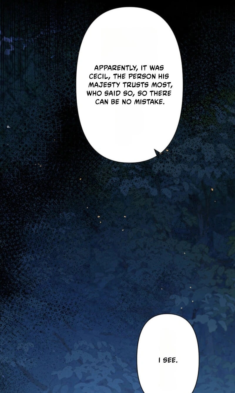 The Enemy King's Substitute Bride Chapter 46 page 70 - 