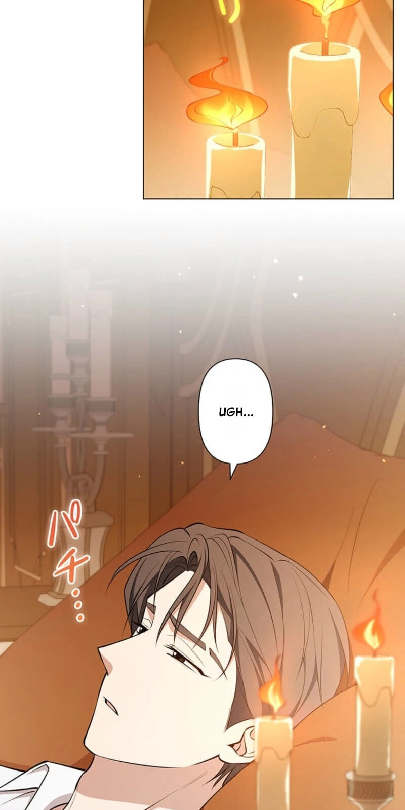 The Enemy King's Substitute Bride Chapter 46 page 76 - 