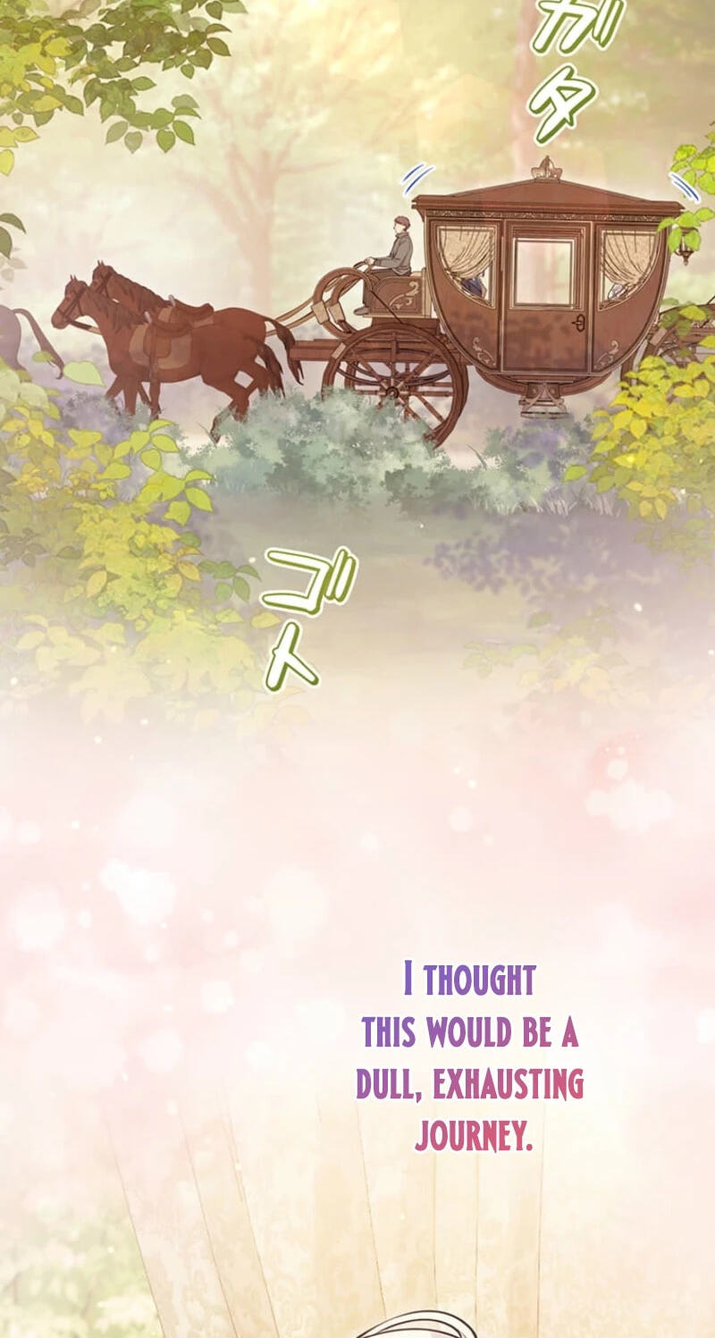 The Enemy King's Substitute Bride Chapter 47 page 16 - 
