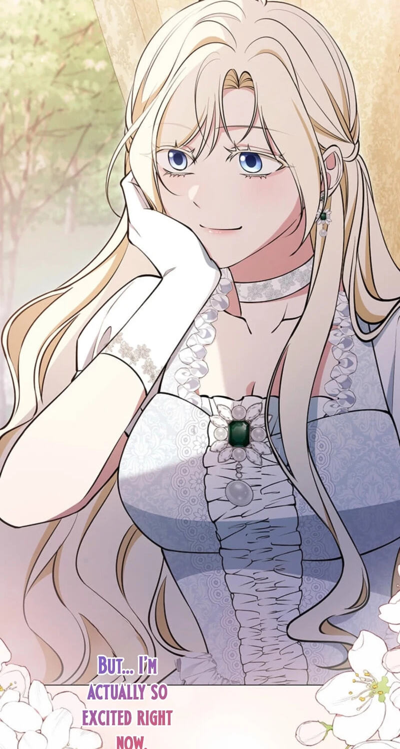 The Enemy King's Substitute Bride Chapter 47 page 17 - 