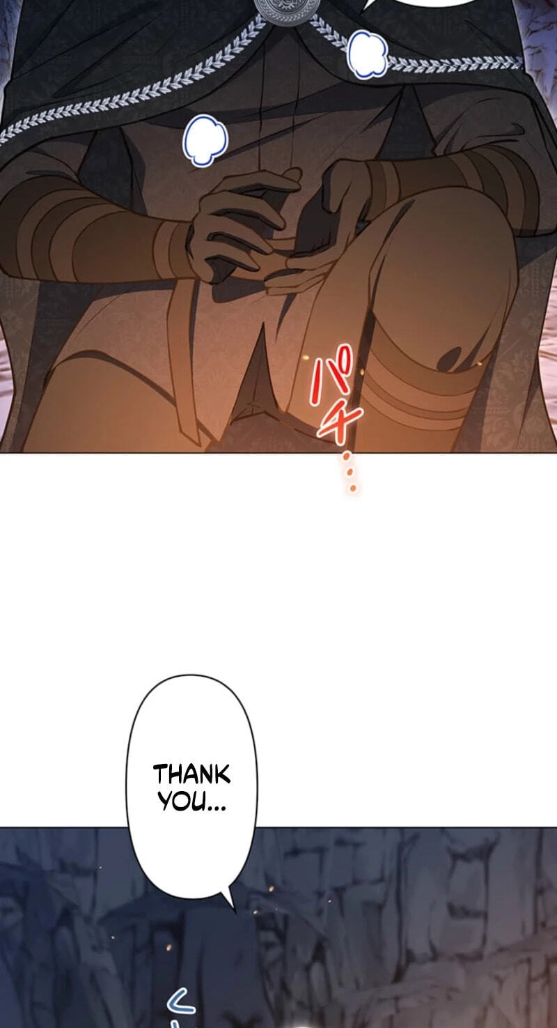 The Enemy King's Substitute Bride Chapter 47 page 39 - 