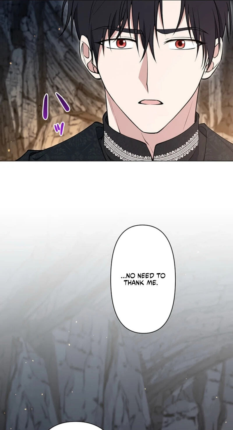The Enemy King's Substitute Bride Chapter 47 page 41 - 