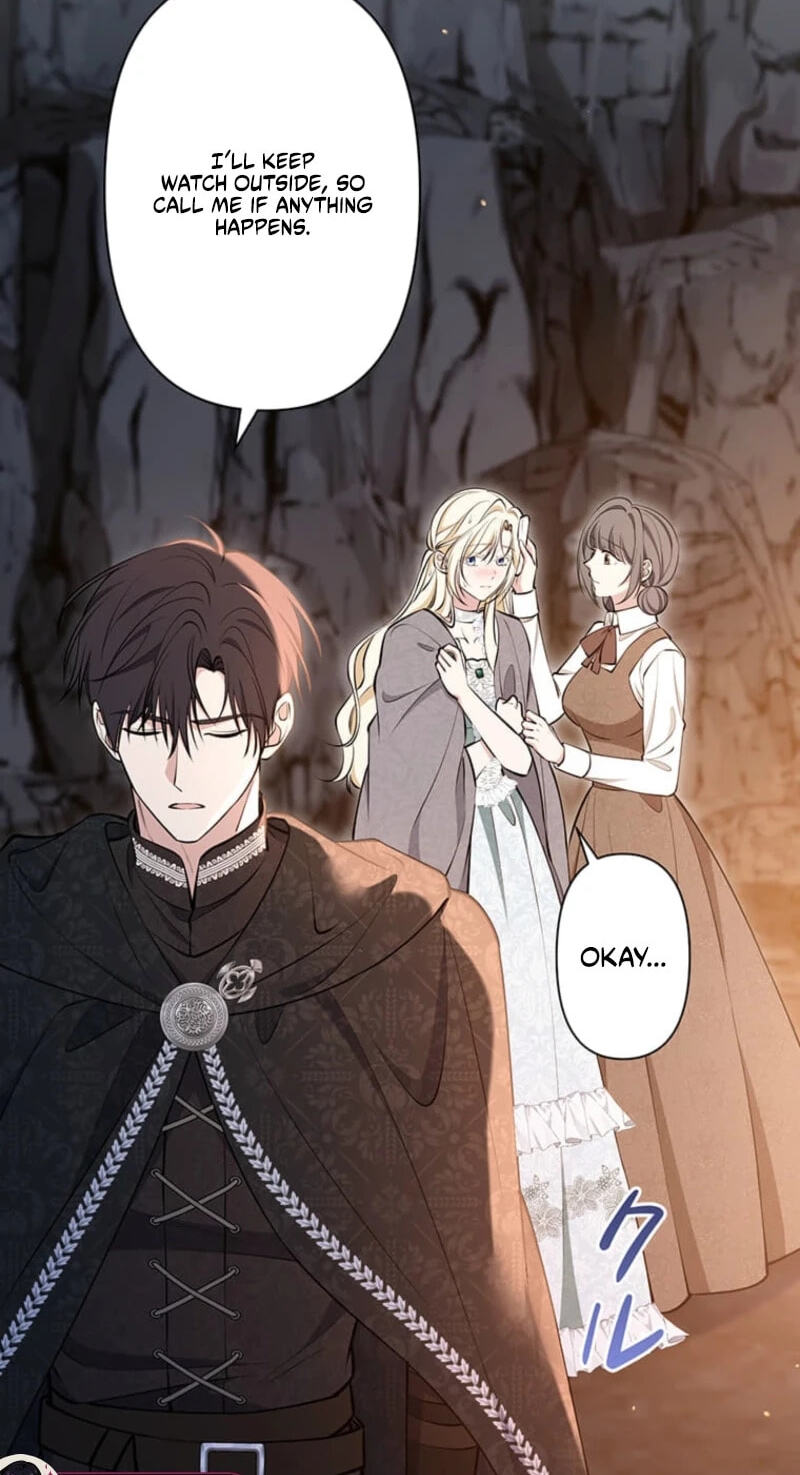 The Enemy King's Substitute Bride Chapter 47 page 42 - 
