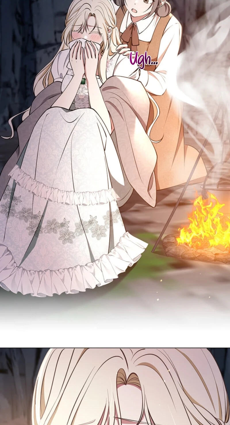 The Enemy King's Substitute Bride Chapter 47 page 45 - 