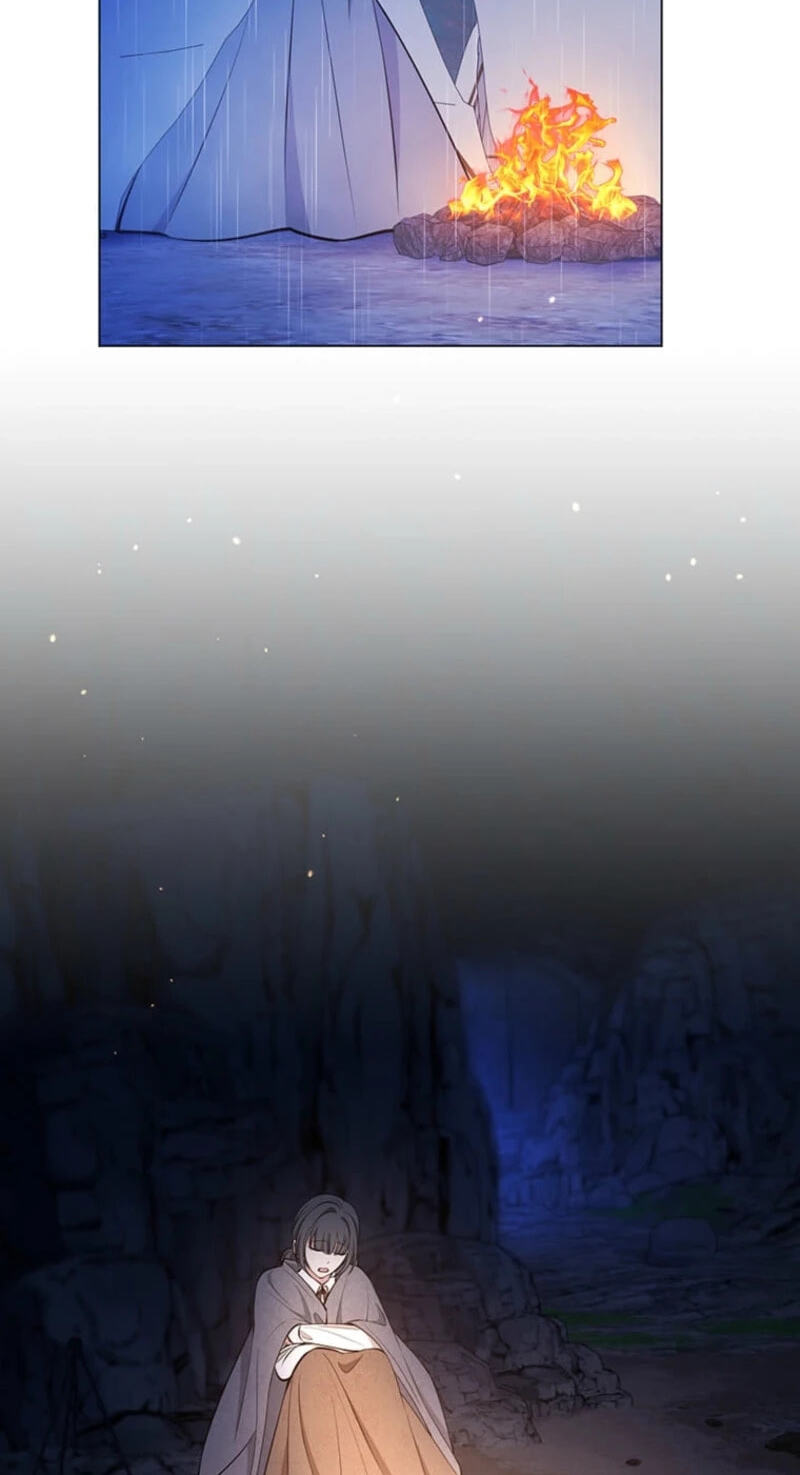 The Enemy King's Substitute Bride Chapter 47 page 48 - 