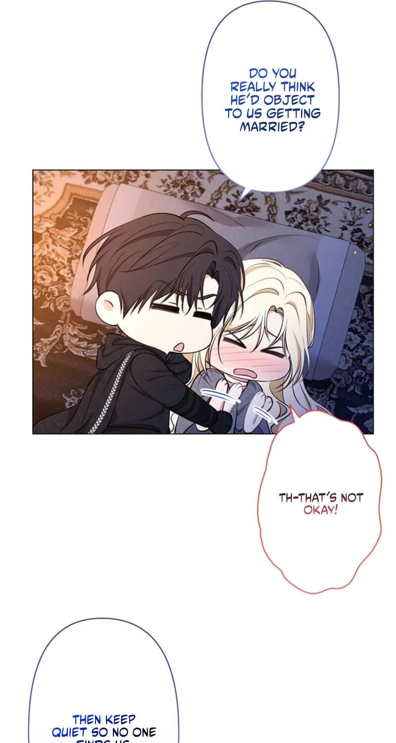 The Enemy King's Substitute Bride Chapter 47 page 60 - 