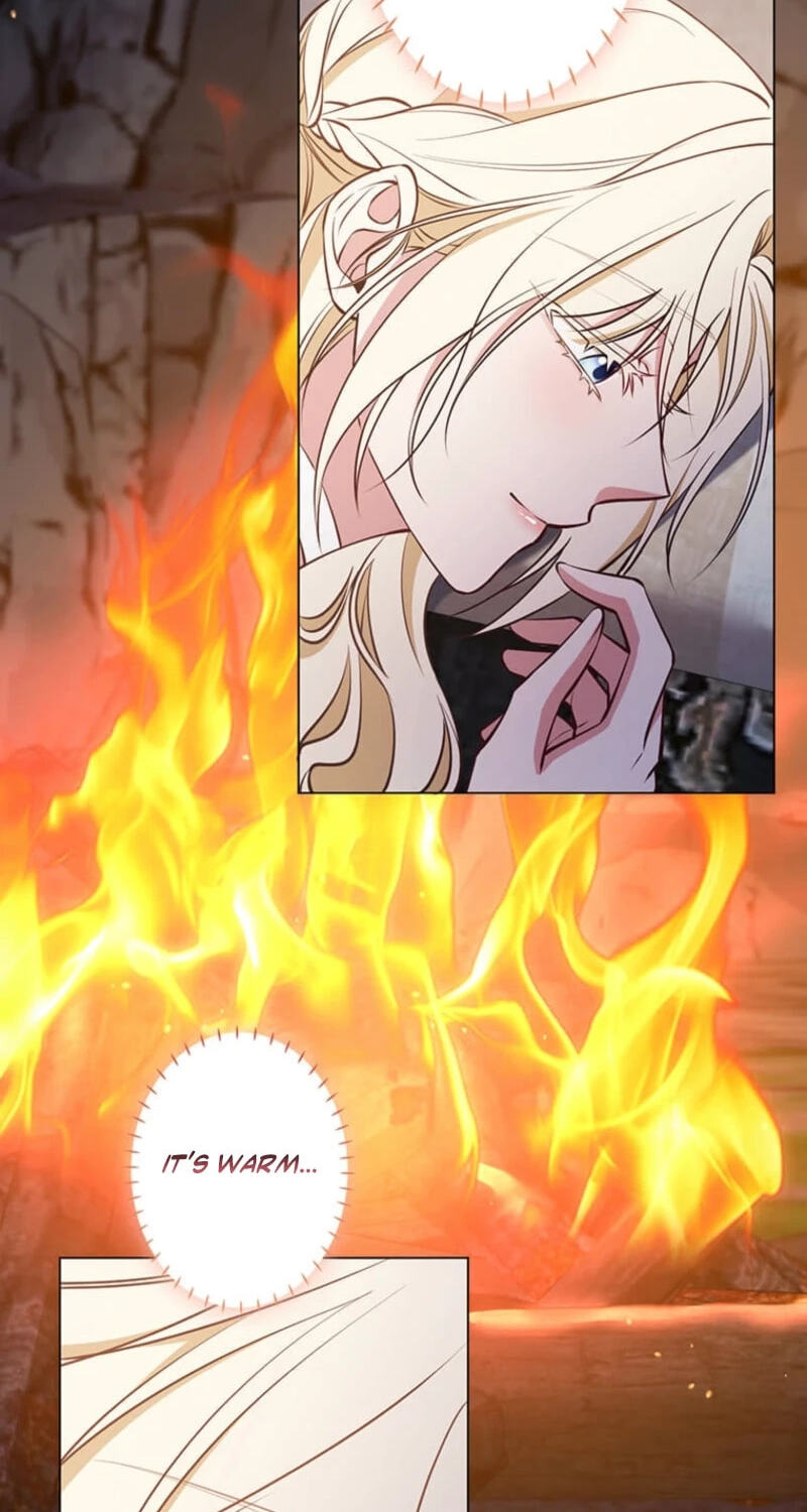 The Enemy King's Substitute Bride Chapter 47 page 65 - 