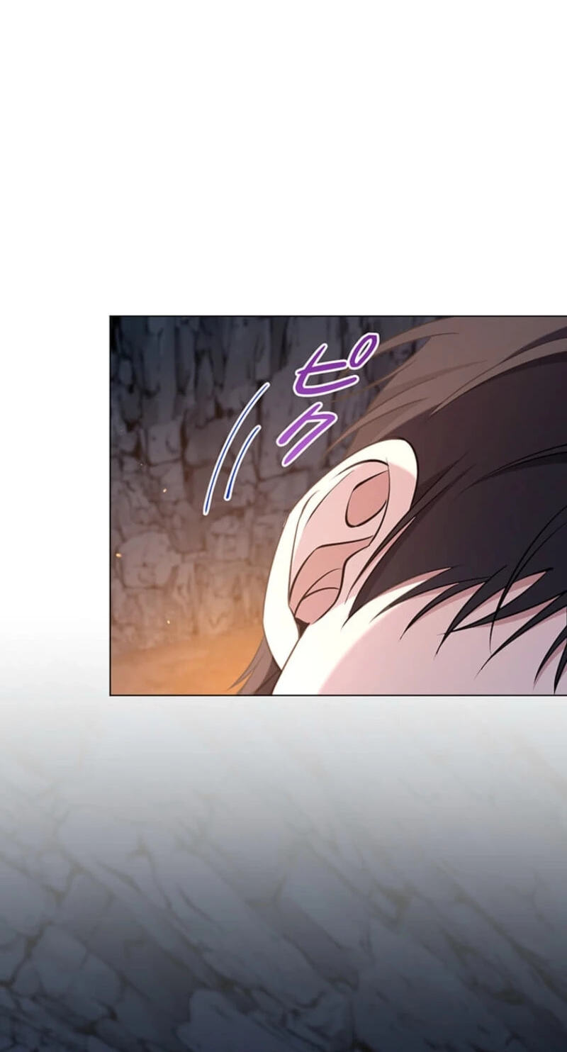 The Enemy King's Substitute Bride Chapter 47 page 73 - 