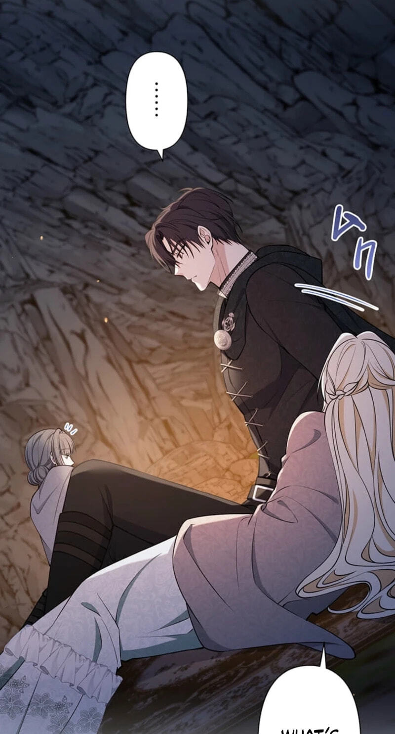 The Enemy King's Substitute Bride Chapter 47 page 74 - 