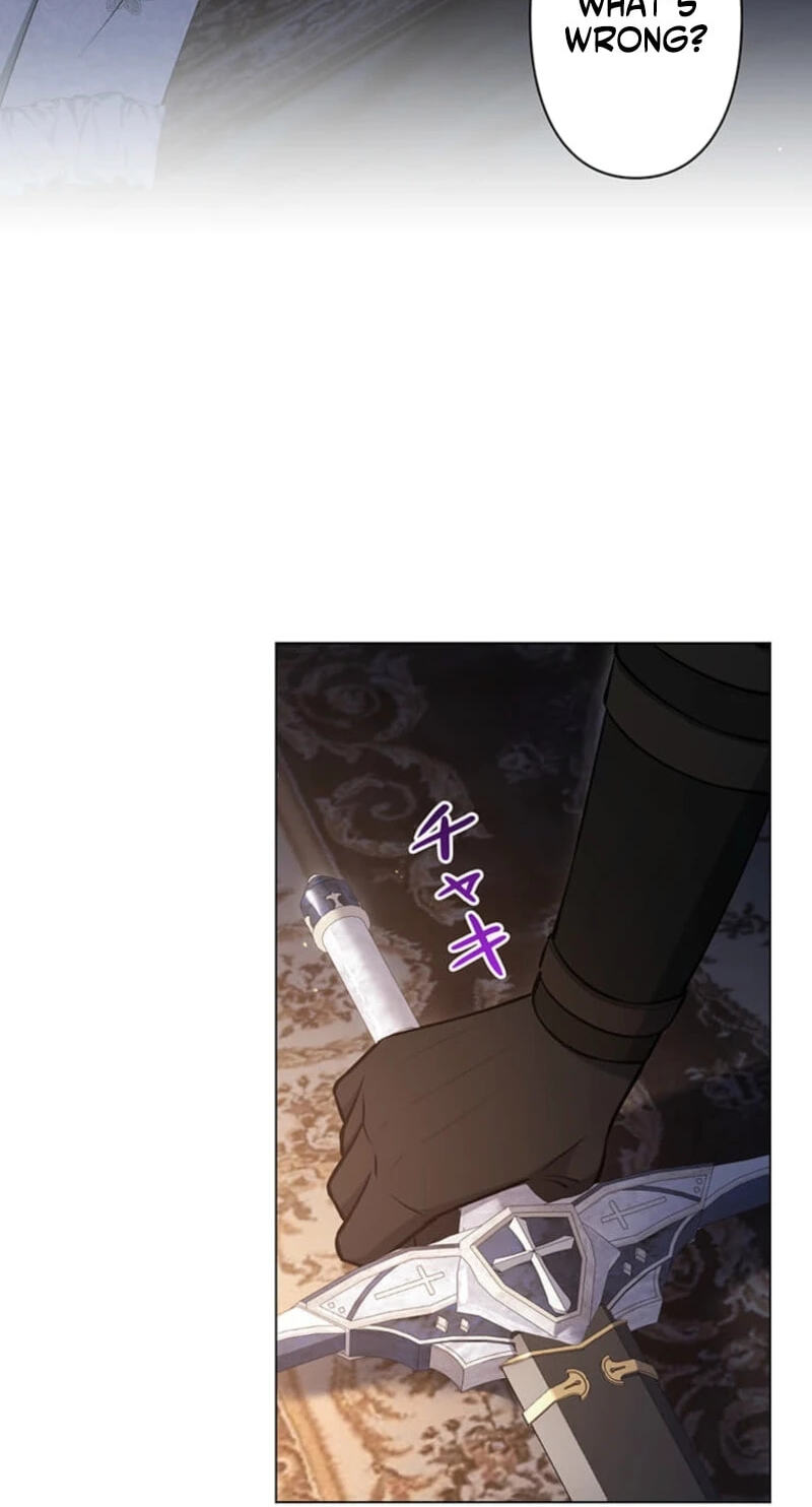 The Enemy King's Substitute Bride Chapter 47 page 75 - 
