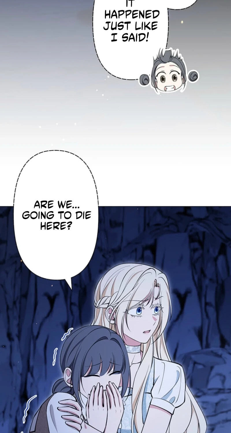 The Enemy King's Substitute Bride Chapter 47 page 86 - 